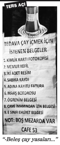 Hainsiniz!